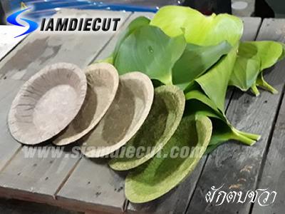 เครื่องขึ้นรูปวัสดุธรรมชาติ รุ่นไฮดรอลิกมือโยก-05SD