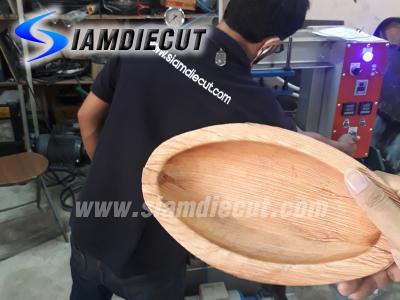 เครื่องขึ้นรูปวัสดุธรรมชาติ รุ่นไฮดรอลิกมือโยก-03SD