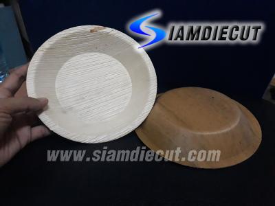 เครื่องขึ้นรูปวัสดุธรรมชาติ รุ่นไฮดรอลิกมือโยก-02SD